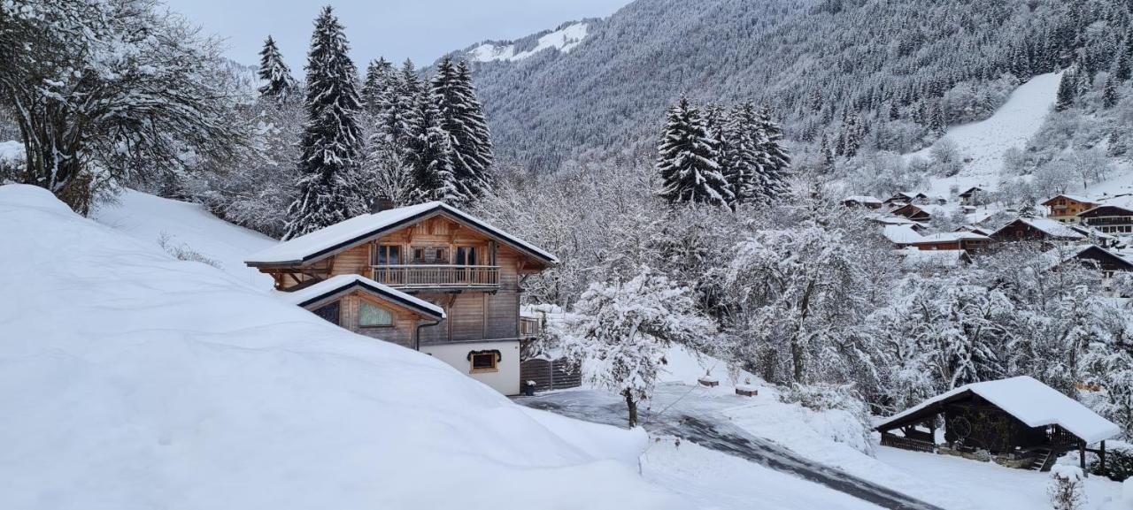 Appartement Borne Saint-Jean-dʼAulps Exteriér fotografie