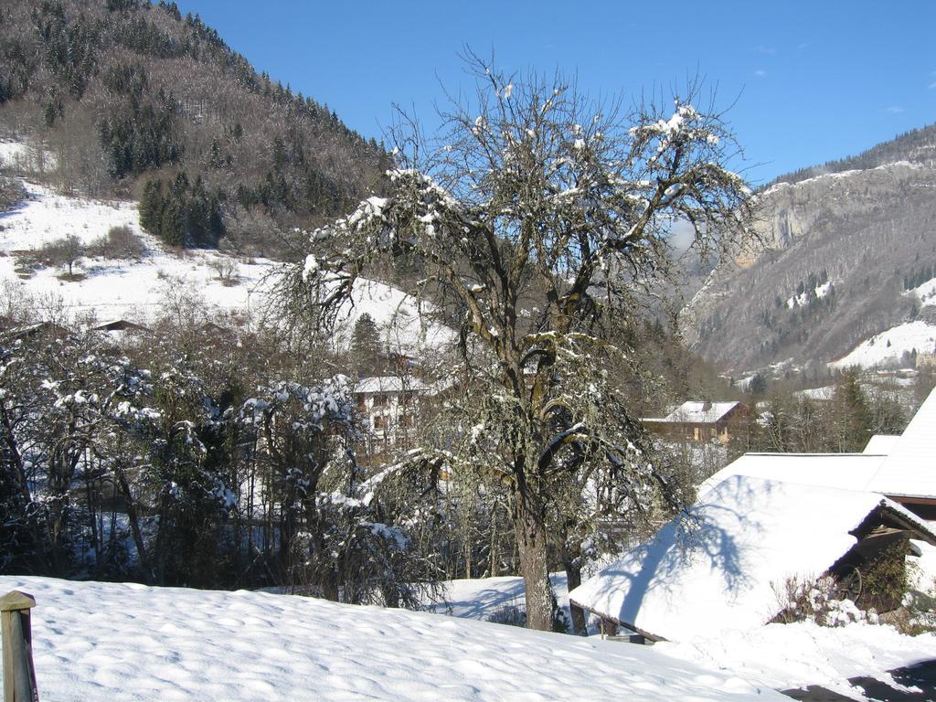 Appartement Borne Saint-Jean-dʼAulps Pokoj fotografie